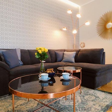 Vila Pod Lipami Apartment Bruntal Ngoại thất bức ảnh