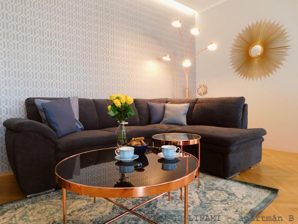 Vila Pod Lipami Apartment Bruntal Ngoại thất bức ảnh