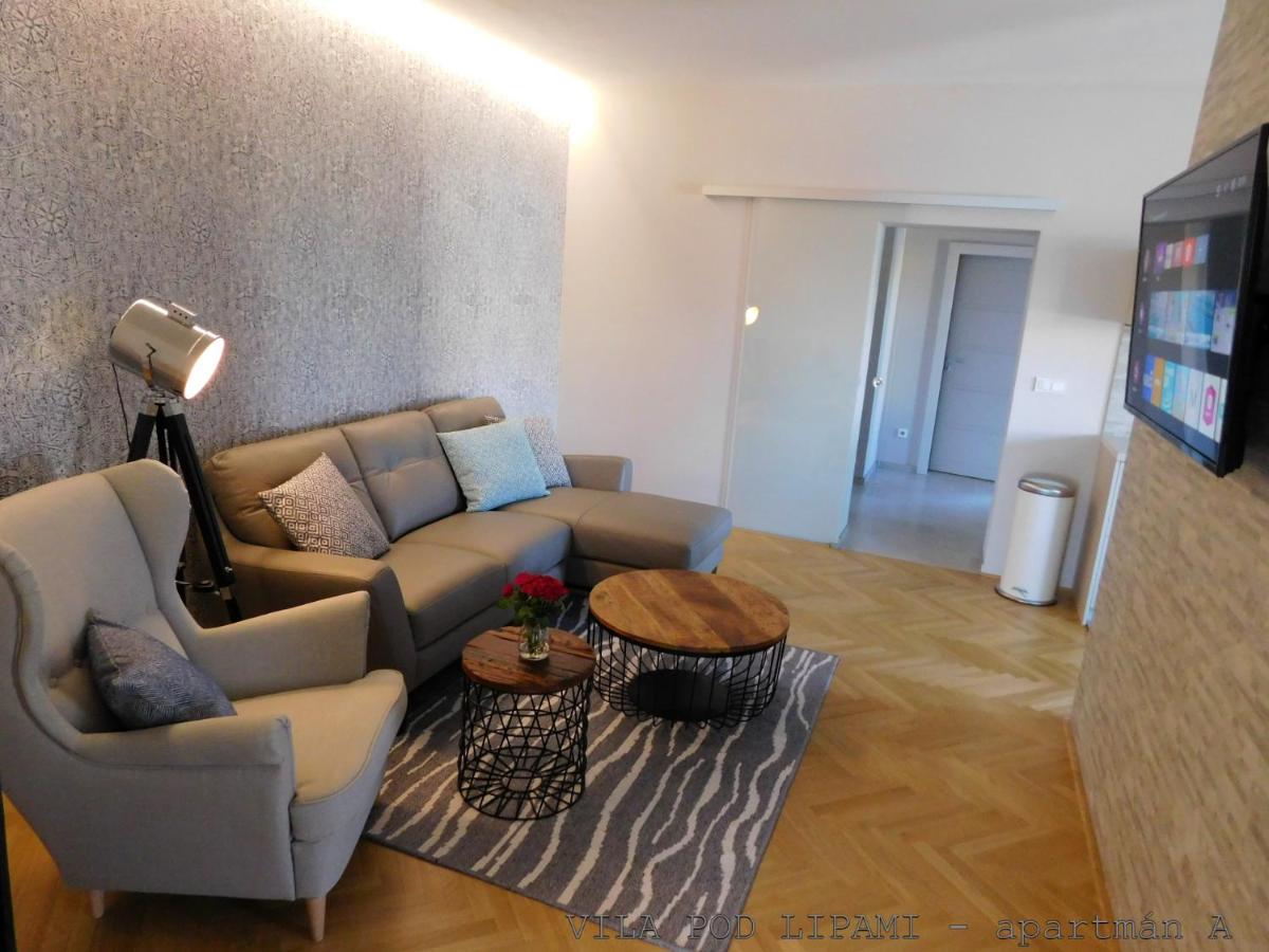 Vila Pod Lipami Apartment Bruntal Ngoại thất bức ảnh